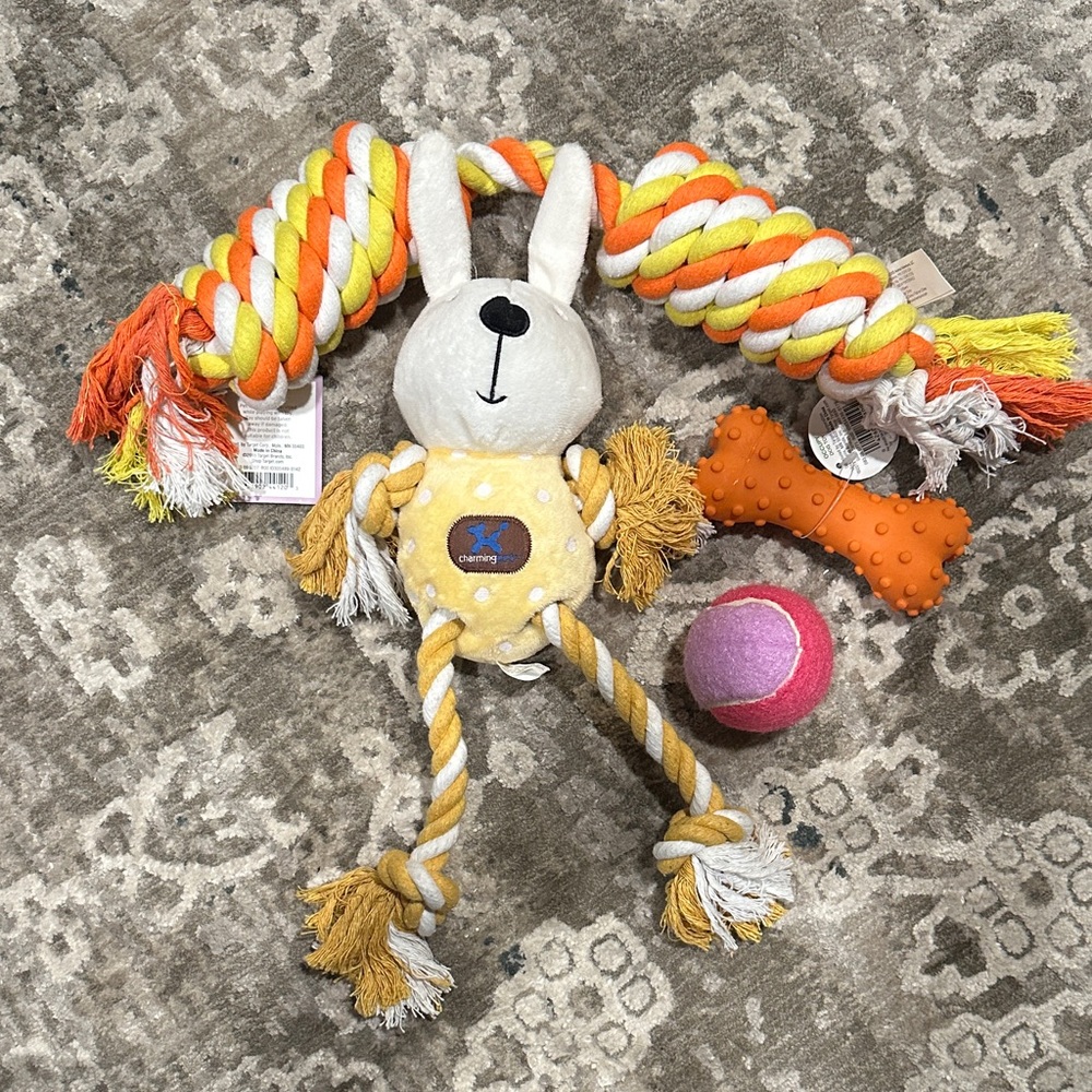 Target Multicolor Dog Toy Set